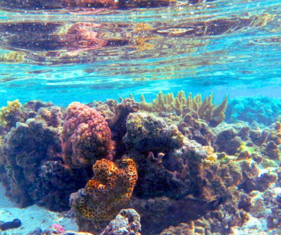 Resort Tava'E Amuri Exterior photo